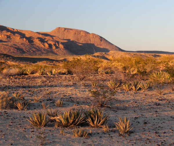 Big Bend National Park
