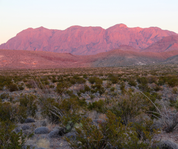 Big Bend National Park