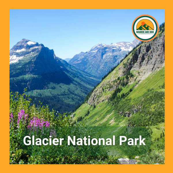 Purple wildflowers overlook a vast green valley and snow-patched peaks in Glacier National Park, Montana. Text 'Glacier National Park' and Wander and Hike logo included.