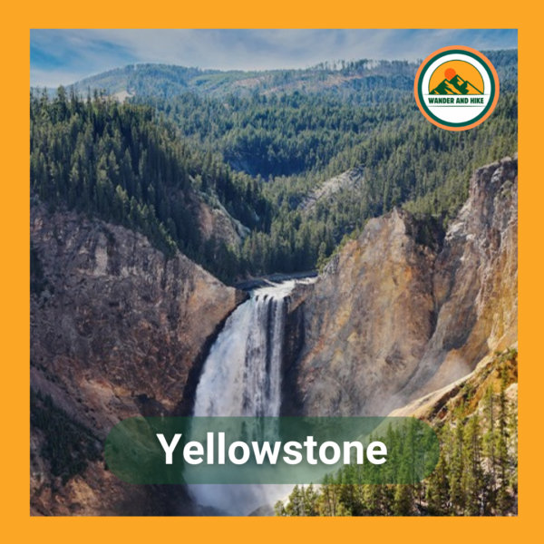 Lower Yellowstone Falls cascades into the Grand Canyon of the Yellowstone, flanked by colourful canyon walls and forests. Includes text 'Yellowstone' and Wander and Hike logo.